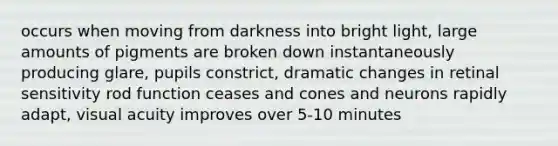 occurs when moving from darkness into bright light, large amounts of pigments are broken down instantaneously producing glare, pupils constrict, dramatic changes in retinal sensitivity rod function ceases and cones and neurons rapidly adapt, visual acuity improves over 5-10 minutes