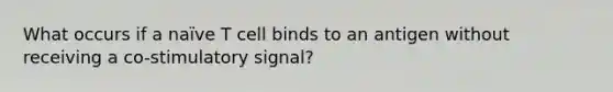 What occurs if a naïve T cell binds to an antigen without receiving a co-stimulatory signal?