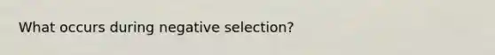 What occurs during negative selection?