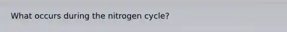 What occurs during the nitrogen cycle?