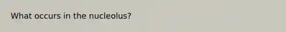 What occurs in the nucleolus?