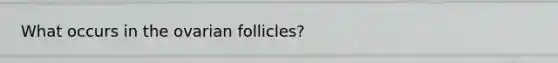 What occurs in the ovarian follicles?