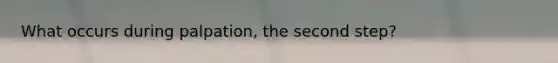 What occurs during palpation, the second step?