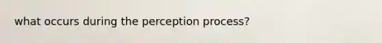 what occurs during the perception process?