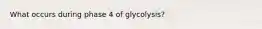 What occurs during phase 4 of glycolysis?