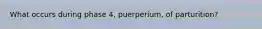 What occurs during phase 4, puerperium, of parturition?