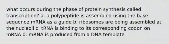 what occurs during the phase of protein synthesis called transcription? a. a polypeptide is assembled using the base sequence mRNA as a guide b. ribosomes are being assembled at the nucleoli c. tRNA is binding to its corresponding codon on mRNA d. mRNA is produced from a DNA template