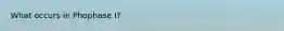 What occurs in Phophase I?