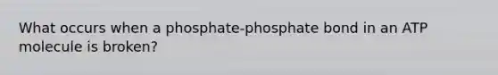 What occurs when a phosphate-phosphate bond in an ATP molecule is broken?