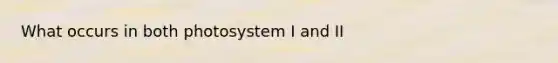 What occurs in both photosystem I and II