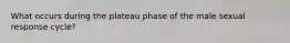 What occurs during the plateau phase of the male sexual response cycle?