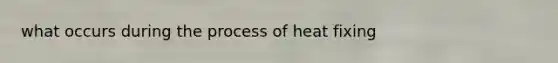 what occurs during the process of heat fixing