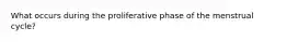 What occurs during the proliferative phase of the menstrual cycle?