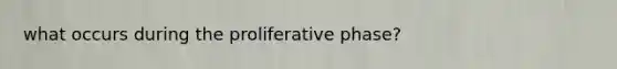 what occurs during the proliferative phase?