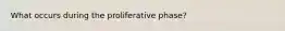 What occurs during the proliferative phase?