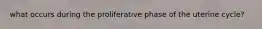 what occurs during the proliferative phase of the uterine cycle?