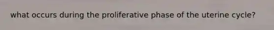 what occurs during the proliferative phase of the uterine cycle?