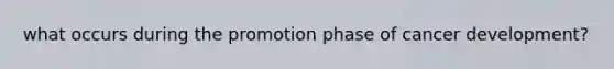 what occurs during the promotion phase of cancer development?