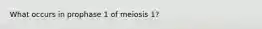 What occurs in prophase 1 of meiosis 1?