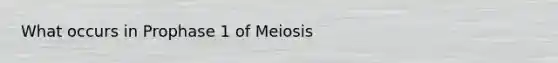 What occurs in Prophase 1 of Meiosis