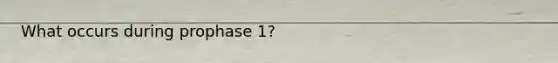 What occurs during prophase 1?