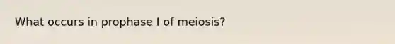 What occurs in prophase I of meiosis?