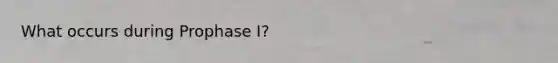 What occurs during Prophase I?