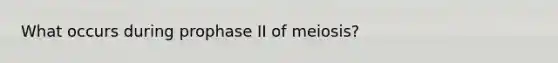 What occurs during prophase II of meiosis?