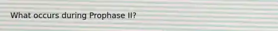 What occurs during Prophase II?