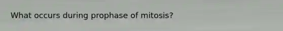 What occurs during prophase of mitosis?