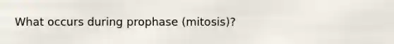 What occurs during prophase (mitosis)?