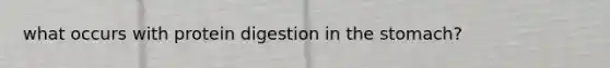 what occurs with protein digestion in the stomach?