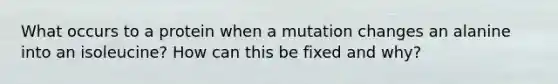 What occurs to a protein when a mutation changes an alanine into an isoleucine? How can this be fixed and why?