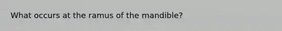 What occurs at the ramus of the mandible?