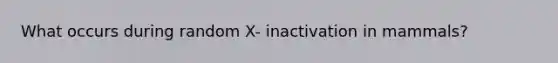 What occurs during random X- inactivation in mammals?