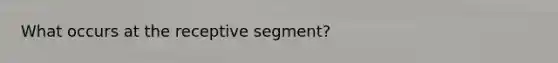 What occurs at the receptive segment?