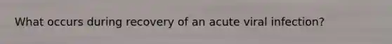 What occurs during recovery of an acute viral infection?