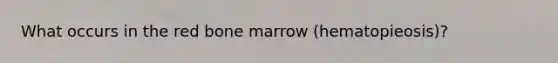 What occurs in the red bone marrow (hematopieosis)?