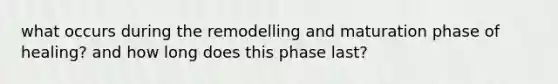 what occurs during the remodelling and maturation phase of healing? and how long does this phase last?