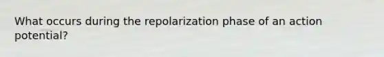What occurs during the repolarization phase of an action potential?