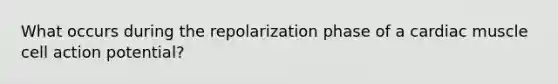 What occurs during the repolarization phase of a cardiac muscle cell action potential?