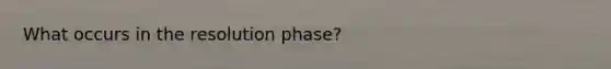 What occurs in the resolution phase?