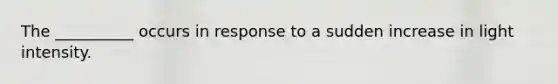 The __________ occurs in response to a sudden increase in light intensity.