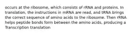 occurs at the ribosome, which consists of rRNA and proteins. In translation, the instructions in mRNA are read, and tRNA brings the correct sequence of amino acids to the ribosome. Then rRNA helps peptide bonds form between the amino acids, producing a Transcription translation