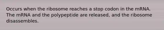 Occurs when the ribosome reaches a stop codon in the mRNA. The mRNA and the polypeptide are released, and the ribosome disassembles.