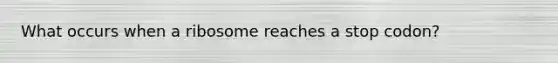 What occurs when a ribosome reaches a stop codon?