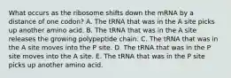 What occurs as the ribosome shifts down the mRNA by a distance of one codon? A. The tRNA that was in the A site picks up another amino acid. B. The tRNA that was in the A site releases the growing polypeptide chain. C. The tRNA that was in the A site moves into the P site. D. The tRNA that was in the P site moves into the A site. E. The tRNA that was in the P site picks up another amino acid.