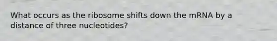 What occurs as the ribosome shifts down the mRNA by a distance of three nucleotides?