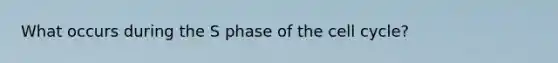 What occurs during the S phase of the cell cycle?