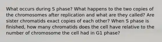 What occurs during S phase? What happens to the two copies of the chromosomes after replication and what are they called? Are sister chromatids exact copies of each other? When S phase is finished, how many chromatids does the cell have relative to the number of chromosome the cell had in G1 phase?